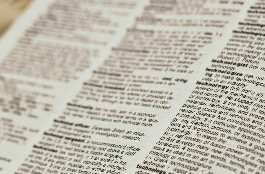 Creation of a dictionary of children’s and youth’s internet language